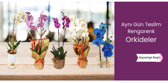 Tasarım orkide çiçekleri sevdiklerinize gönderebileceğiniz çiçeklerden biri neden olmasın. Üstelik kocaeli gölcük izmit başiskele ve kartepe aynı gün teslim.