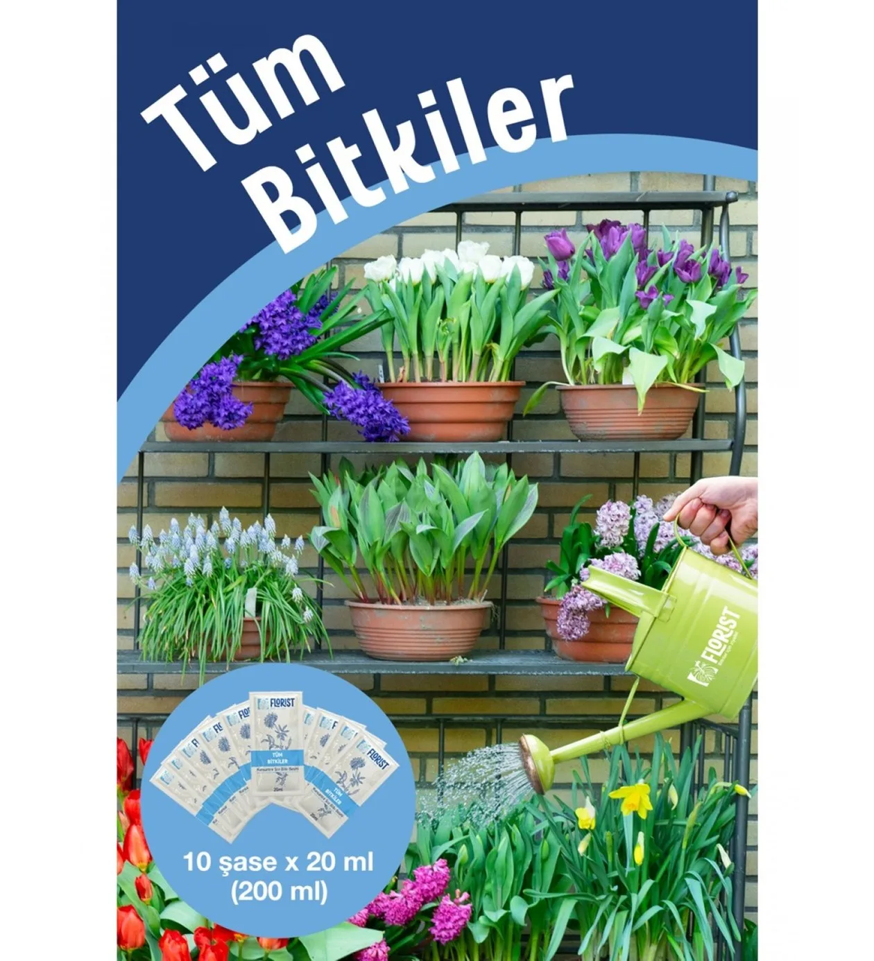 Florist Genel Amaçlı Bitki Besini