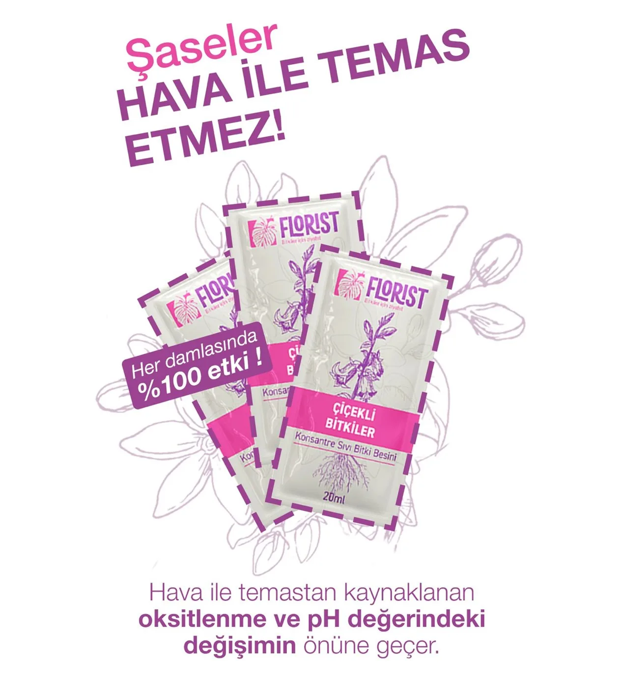Florist Çiçekli Bitkiler Bitki Besini
