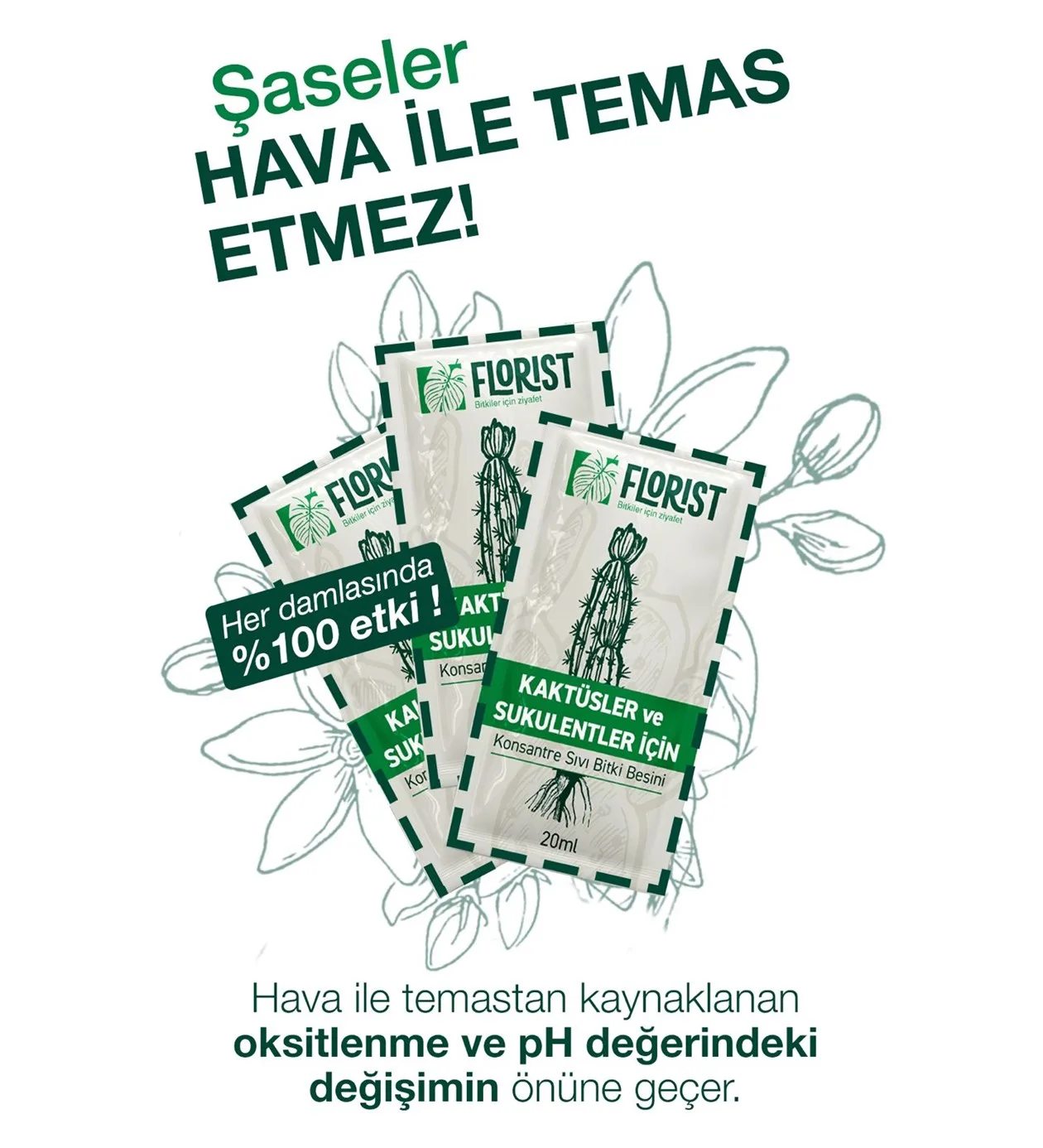 Florist Kaktüs Sukulent Bitki Besini