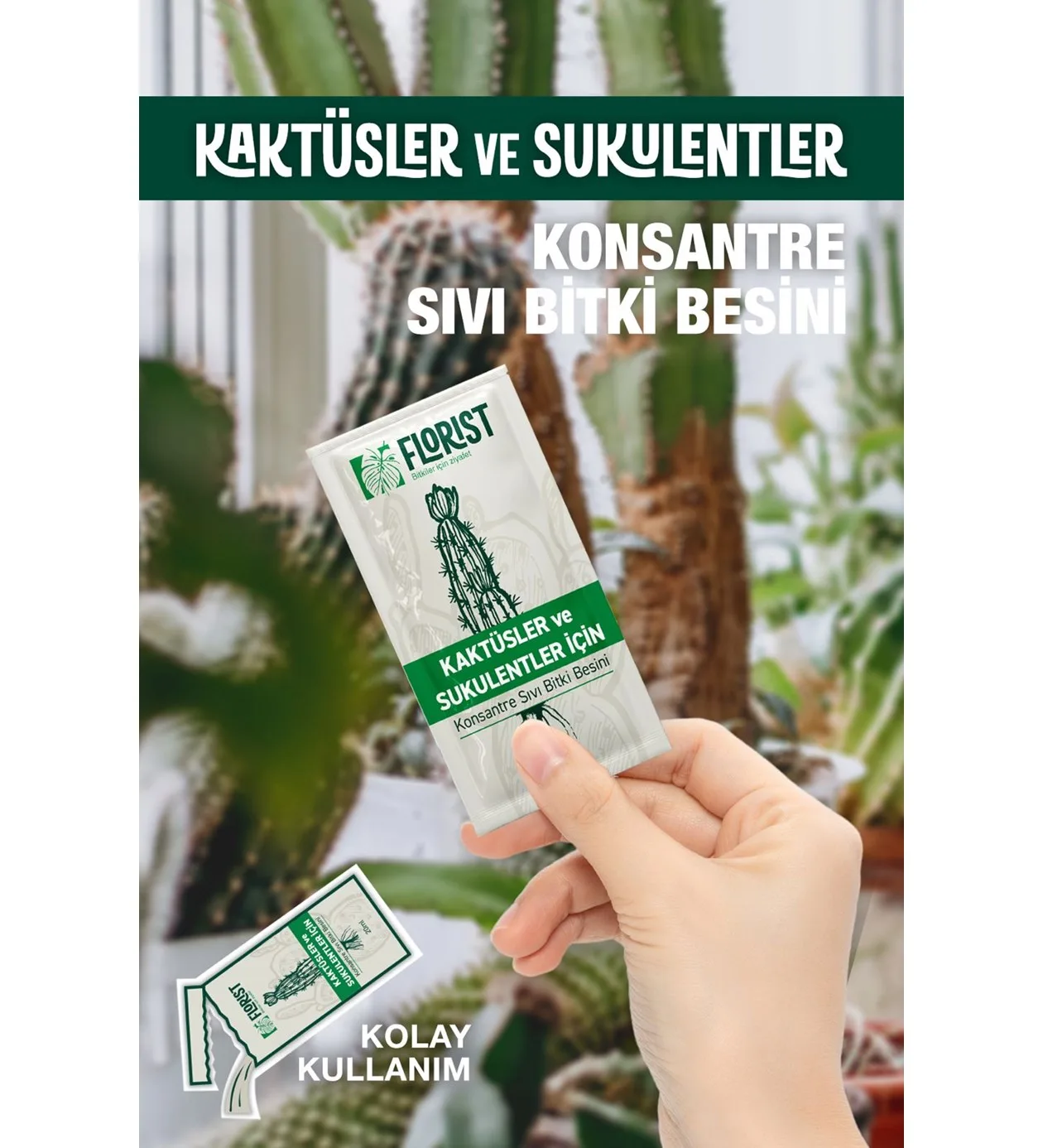 Florist Kaktüs Sukulent Bitki Besini