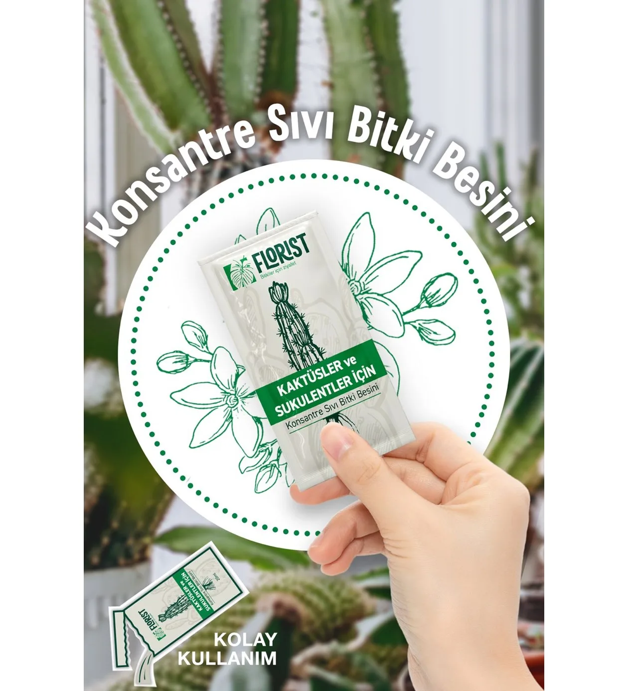 Florist Kaktüs Sukulent Bitki Besini