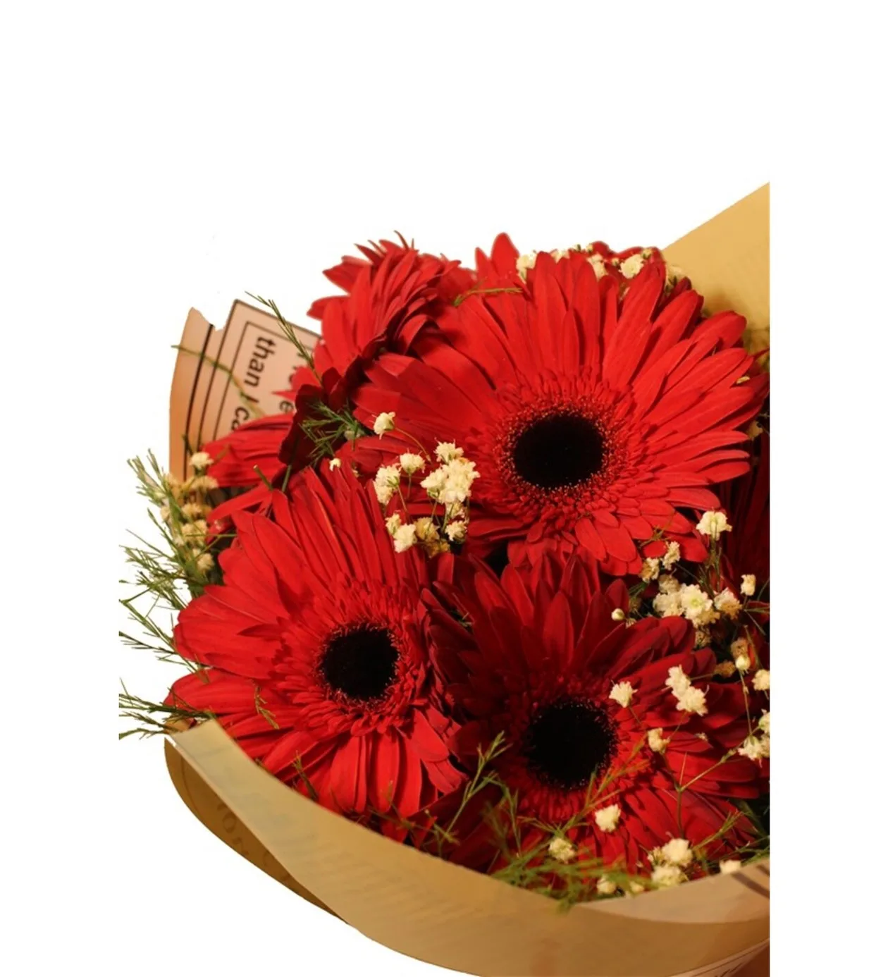 Soft Buket Kağıdında 7 Kırmızı Gerbera Buketi