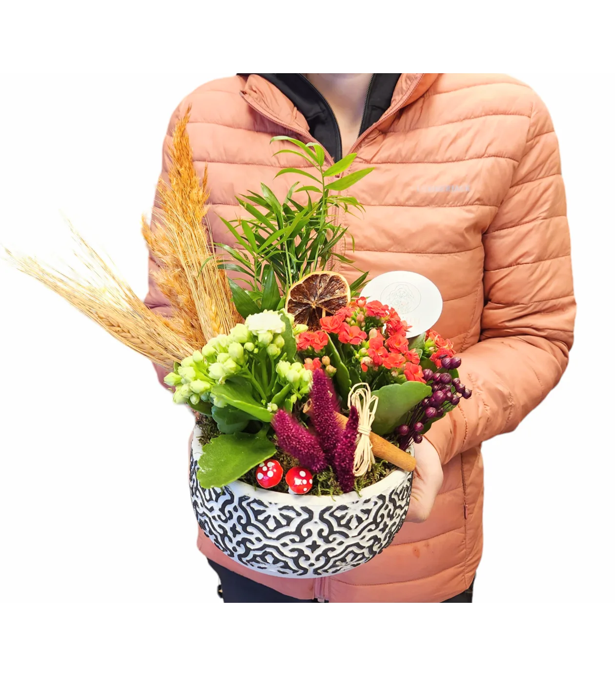 Tropik Dekor Kalanchoe A Serisi