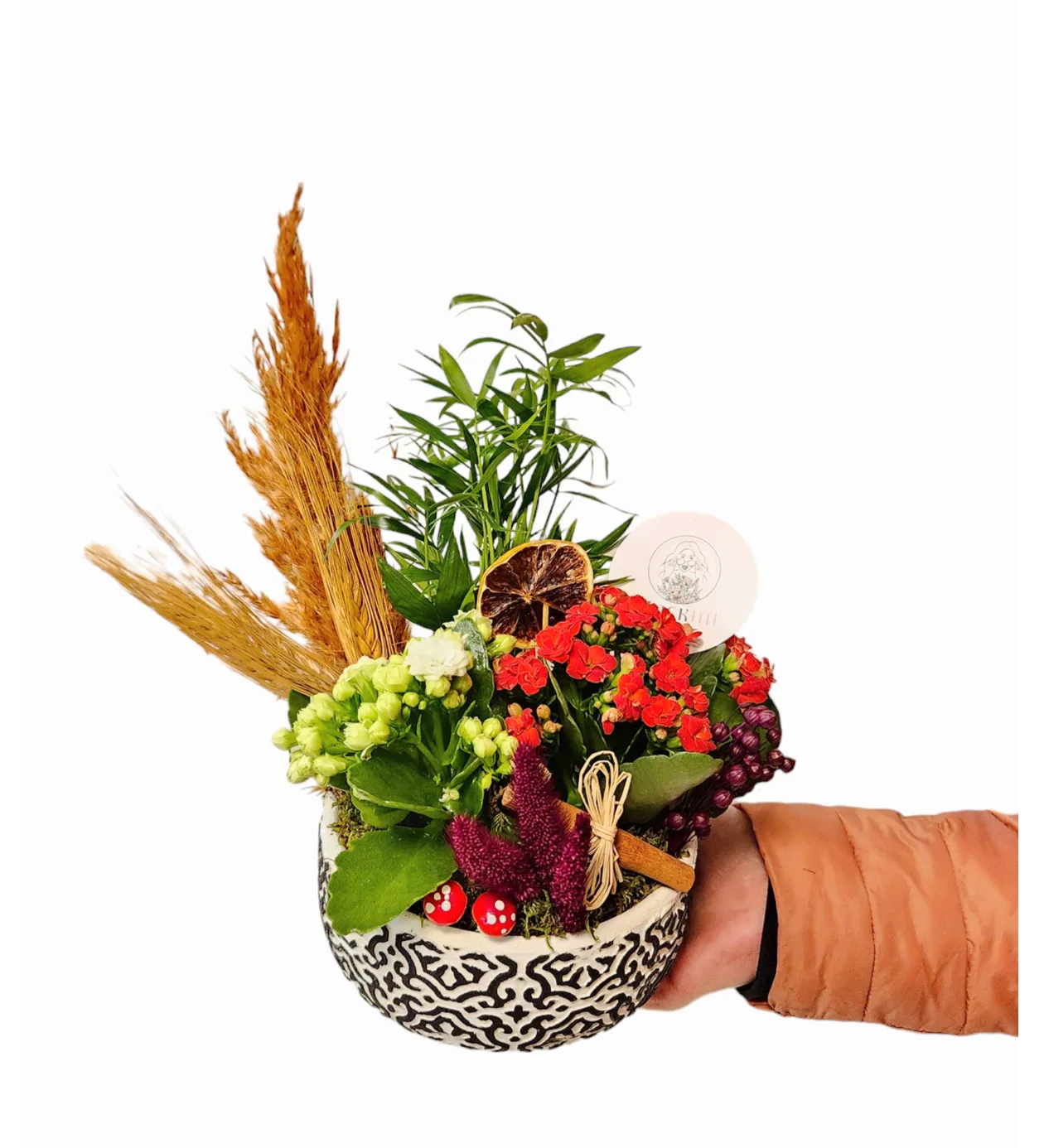 Tropik Dekor Kalanchoe A Serisi