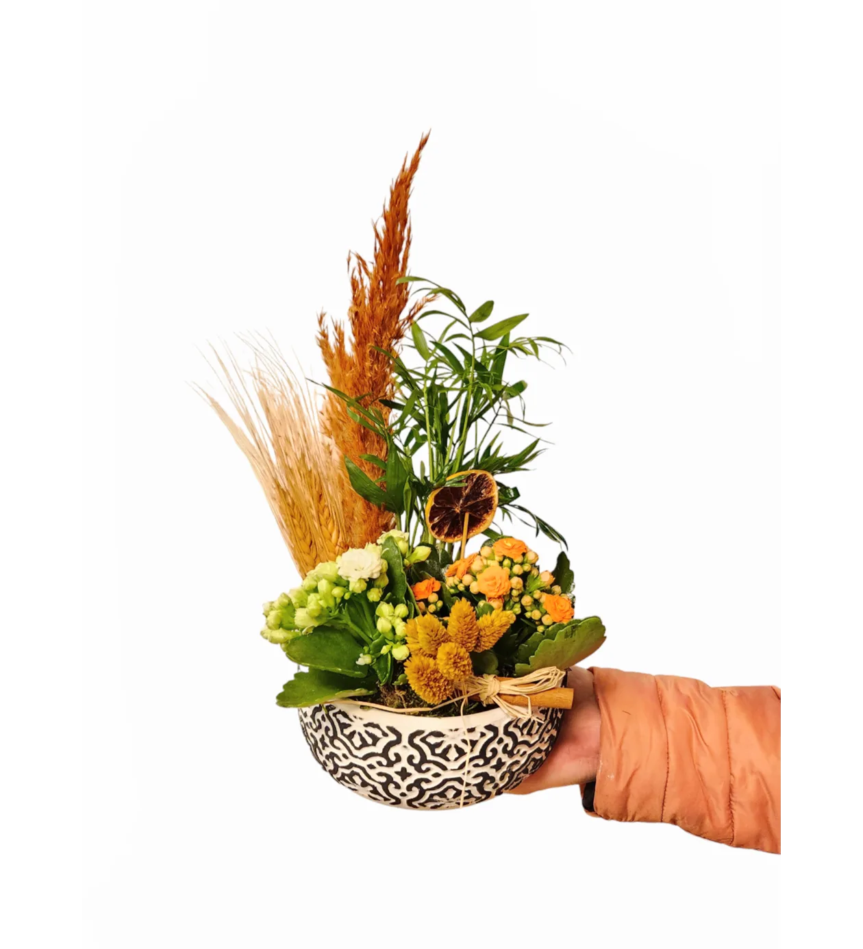 Tropik Dekor Kalanchoe B Serisi
