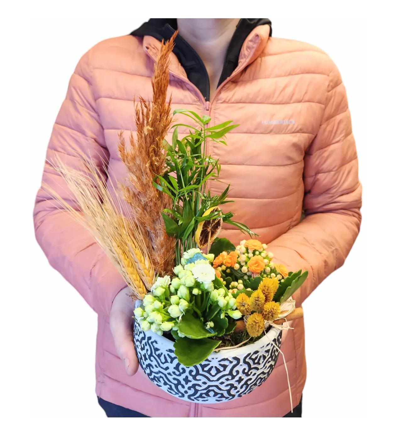 Tropik Dekor Kalanchoe B Serisi