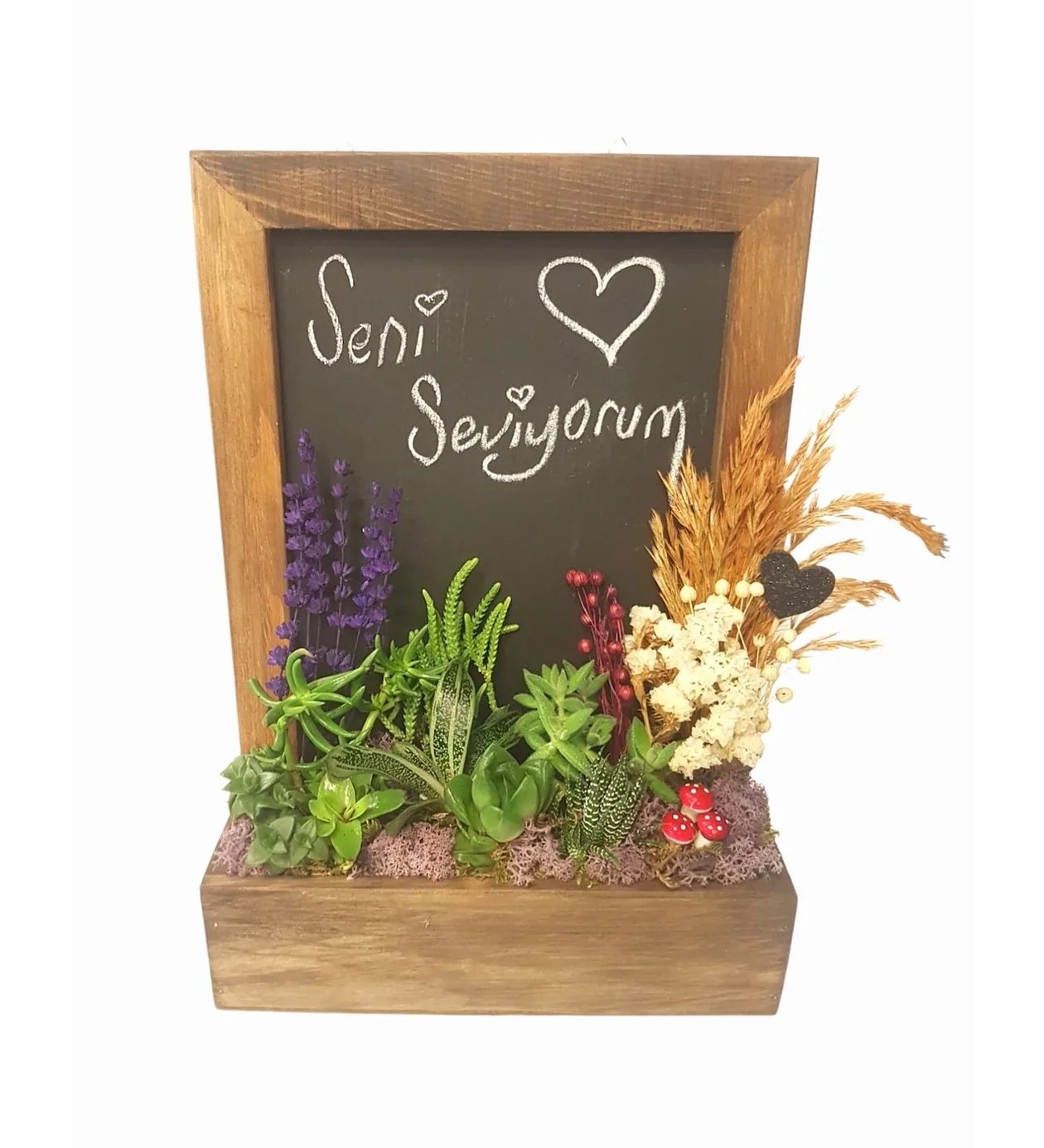 S-S Serisi Blackboard A Garden