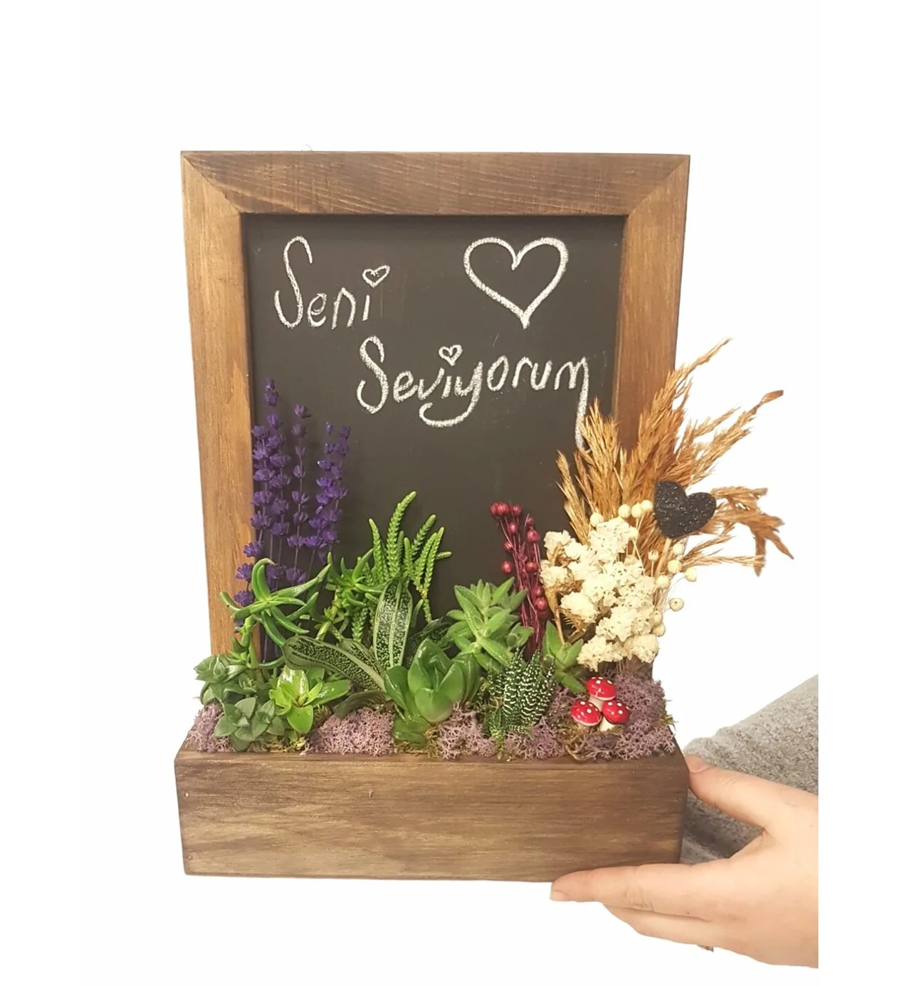 S-S Serisi Blackboard A Garden