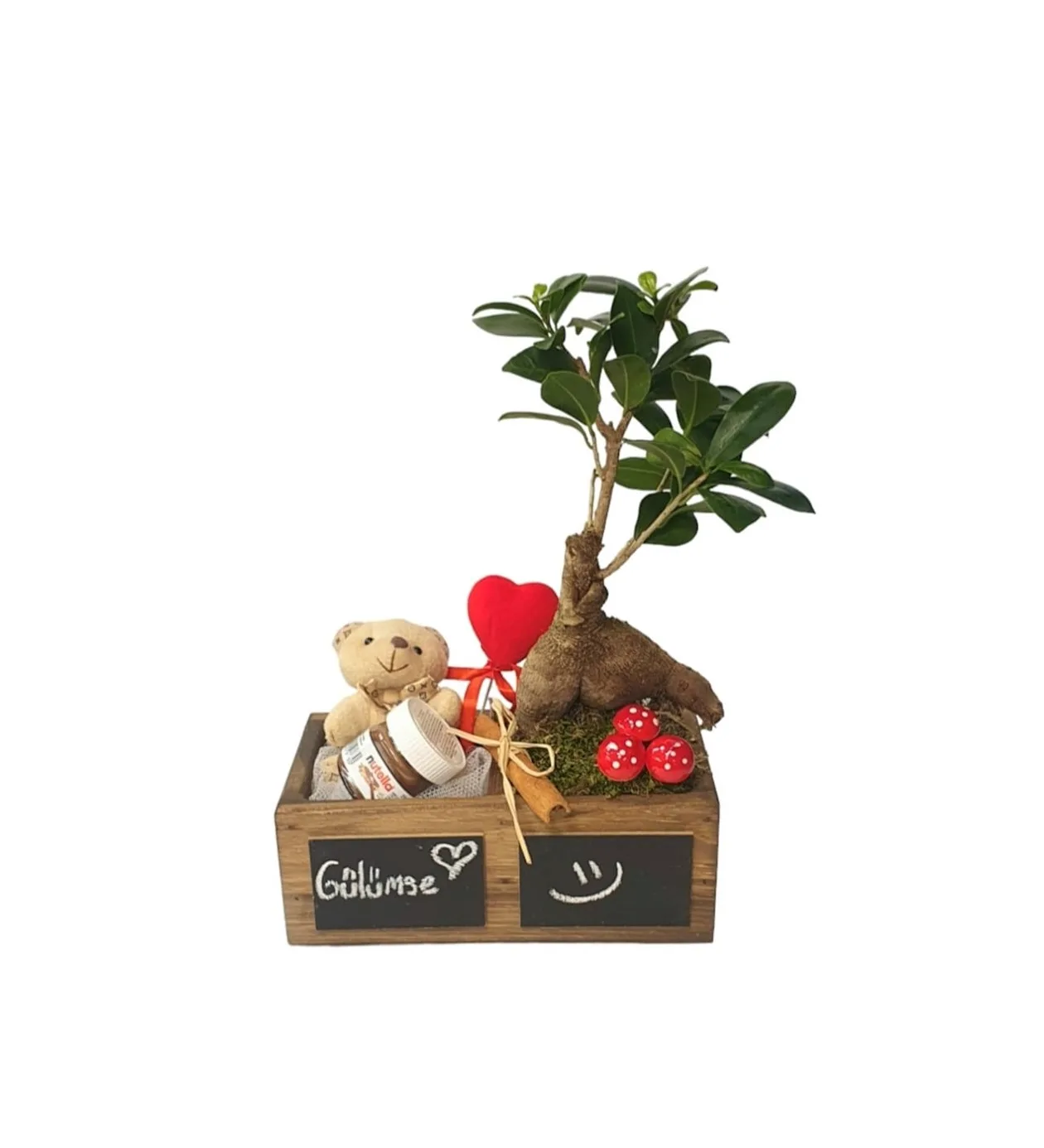 S-S Serisi Ginseng Bonsai Ve Tatlılık