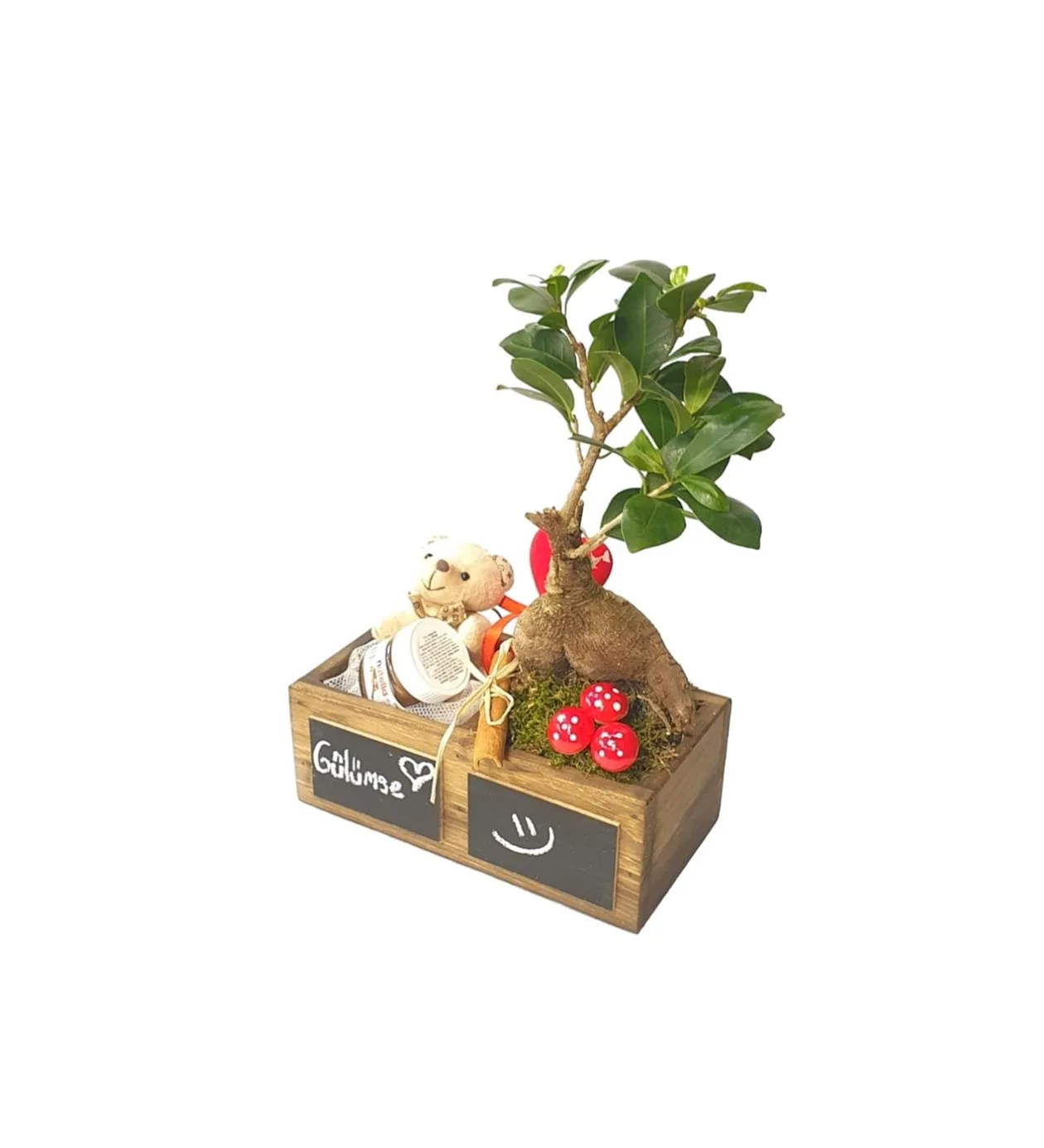 S-S Serisi Ginseng Bonsai Ve Tatlılık