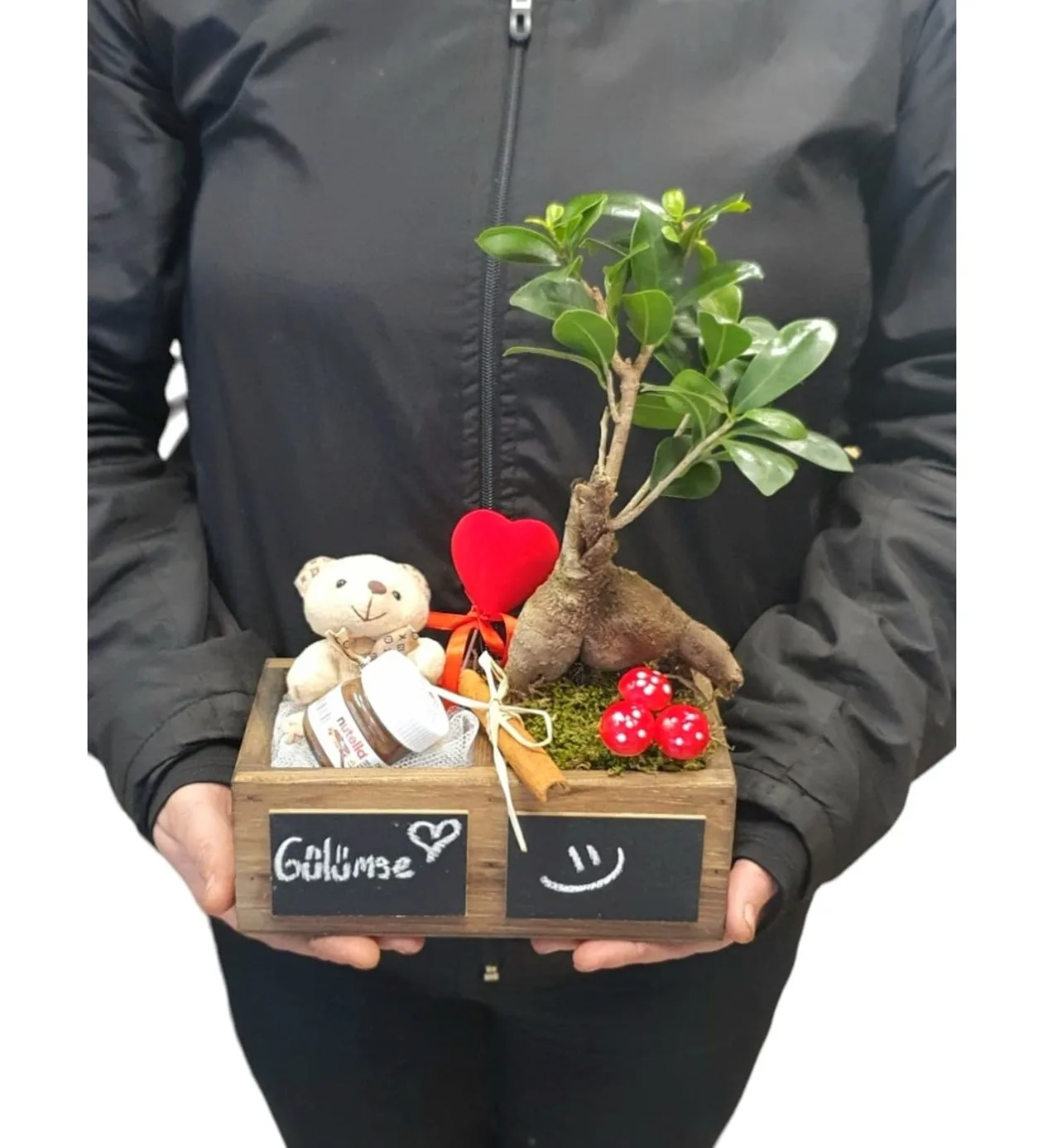 S-S Serisi Ginseng Bonsai Ve Tatlılık