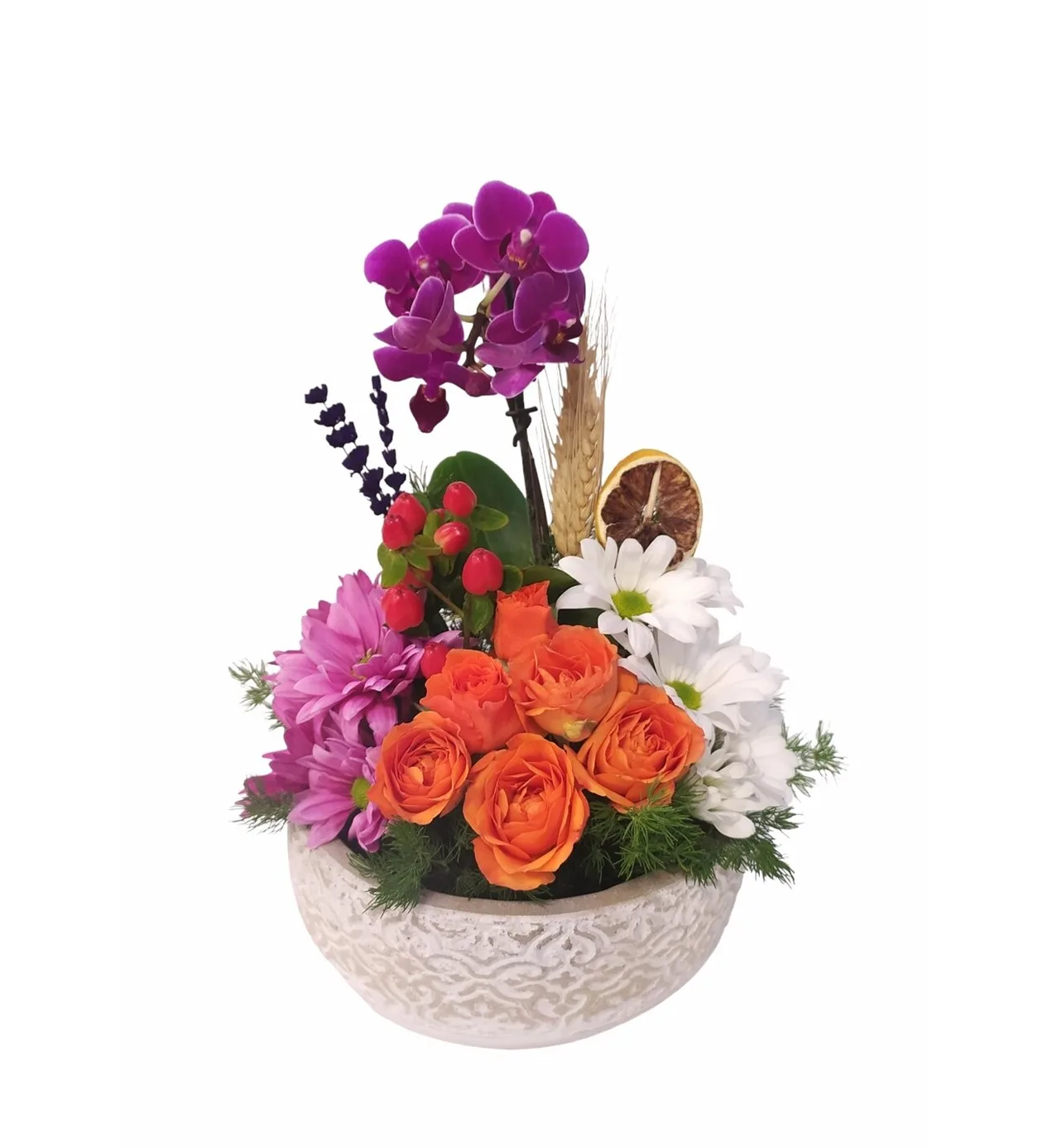 Eskitme Serisi Purple Dream Mini Orkide