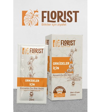 Florist Orkide Bitki Besini Çiçek 10 Adet