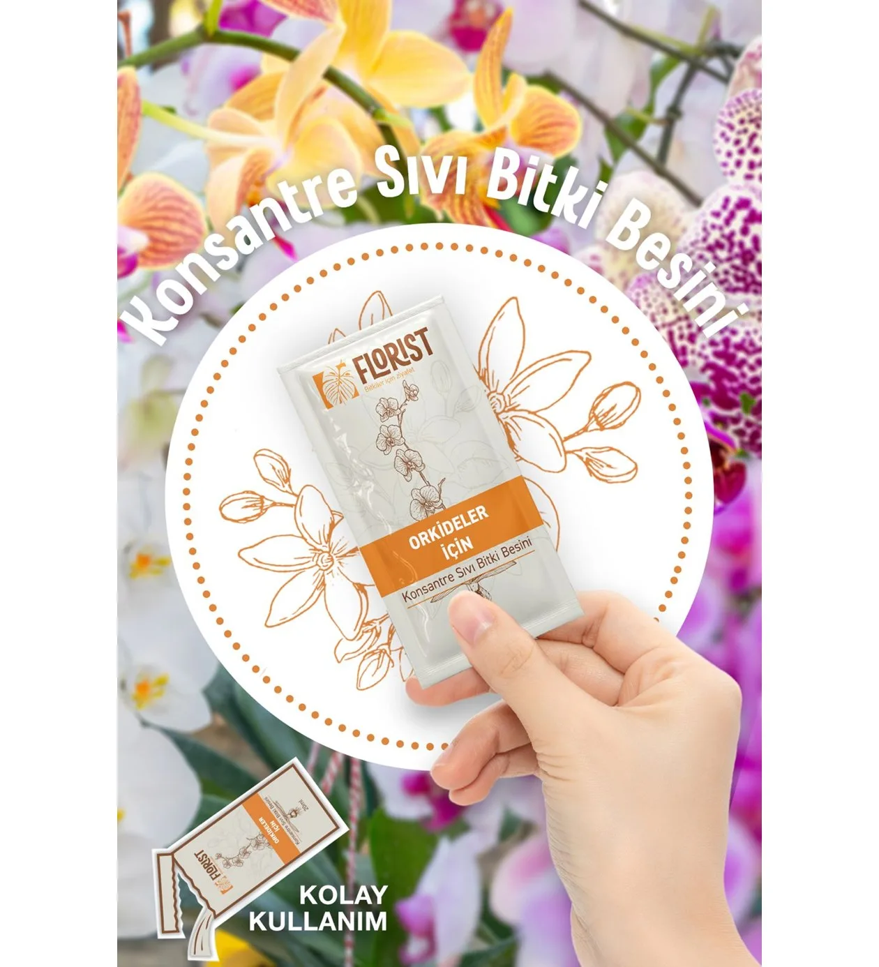 Florist Orkide Bitki Besini