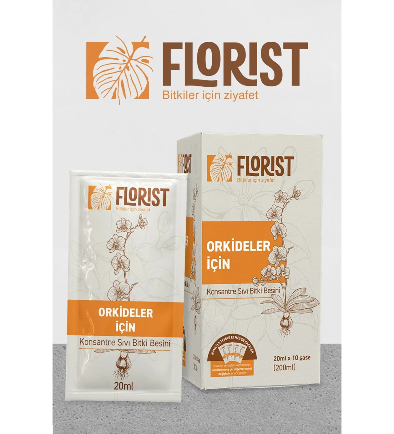 Florist Orkide Bitki Besini